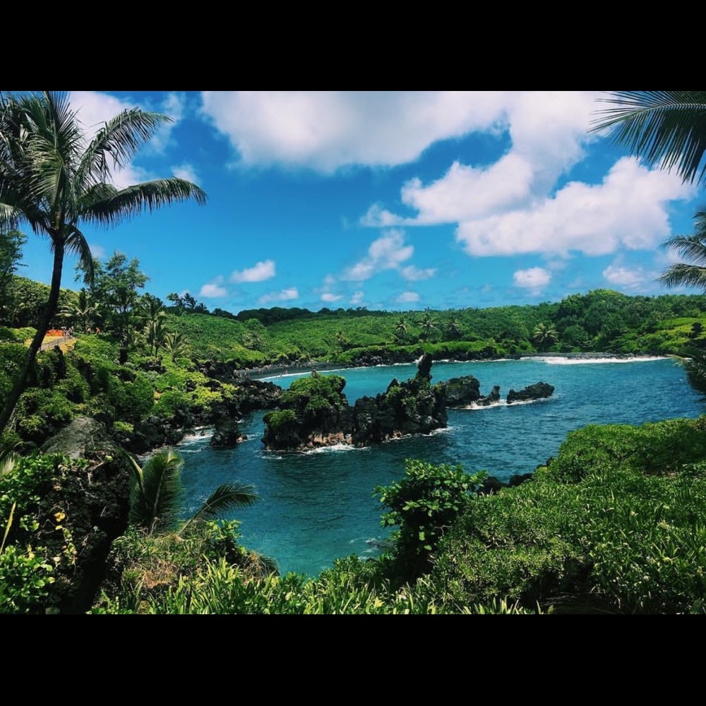 Meet your Posher, Alyssa